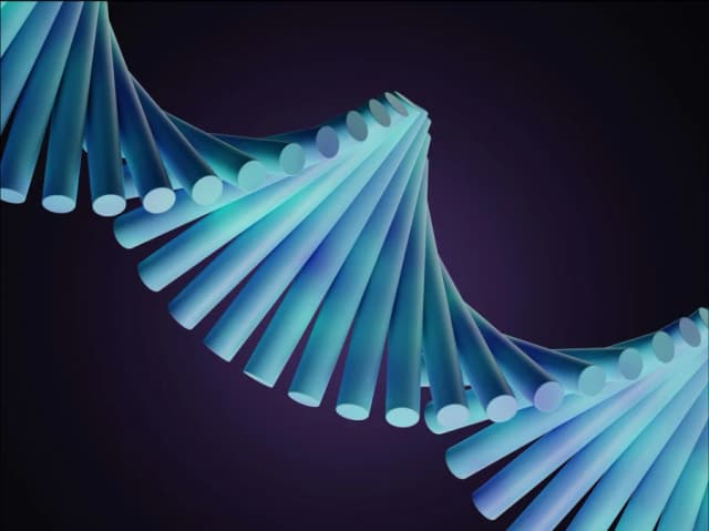 Digital-Transformation